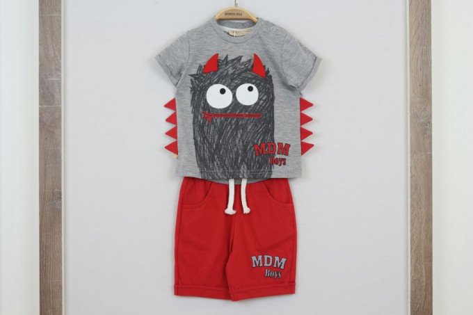 Фото - красный с серым костюм для малыша цена 777 грн. за комплект - Леопольд