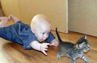 малыш и котик